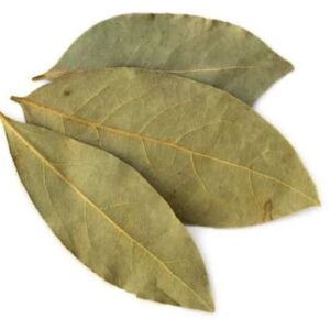 folha de louro